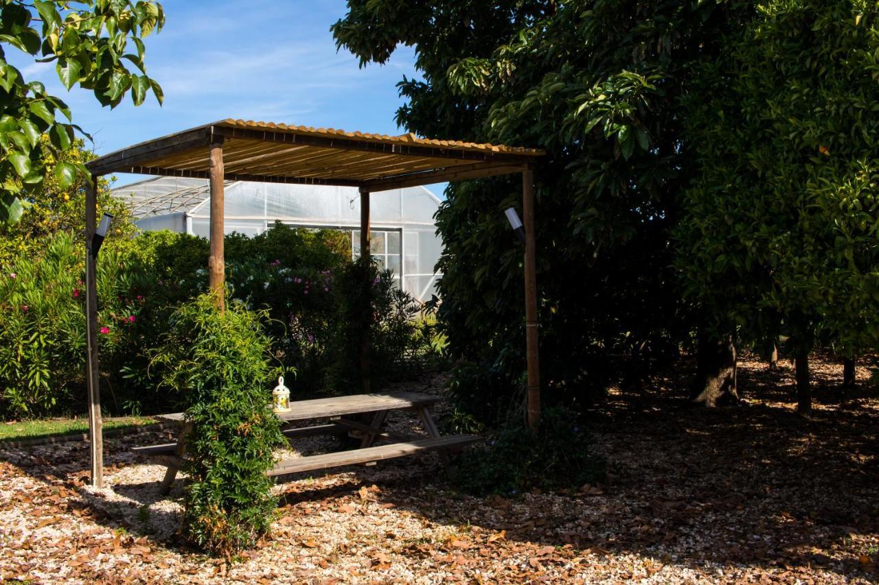 Maison d'hôtes Tapada Dos Machados à Donalda Extérieur photo